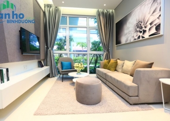 Căn hộ 62 m2 tầng 12a full nội thất cho thuê dài hạn, view SG